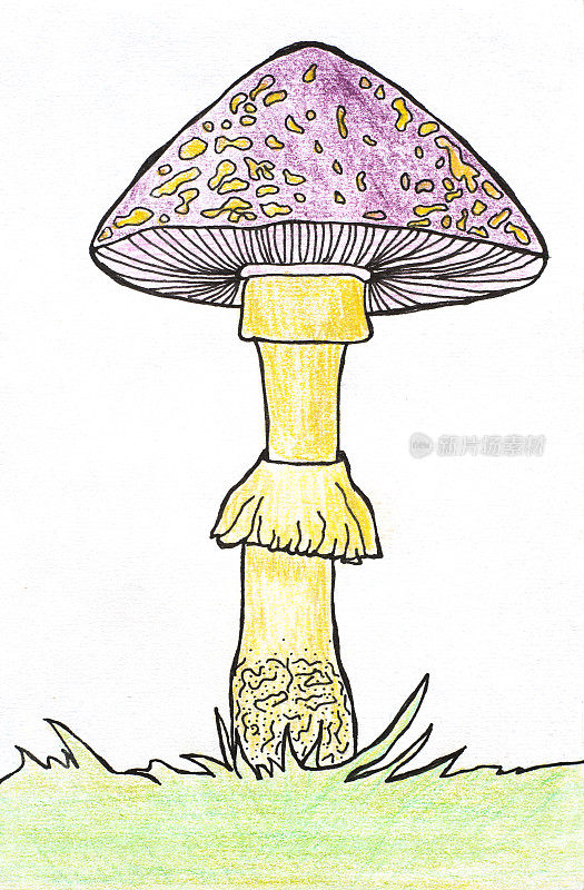 [无菌蘑菇